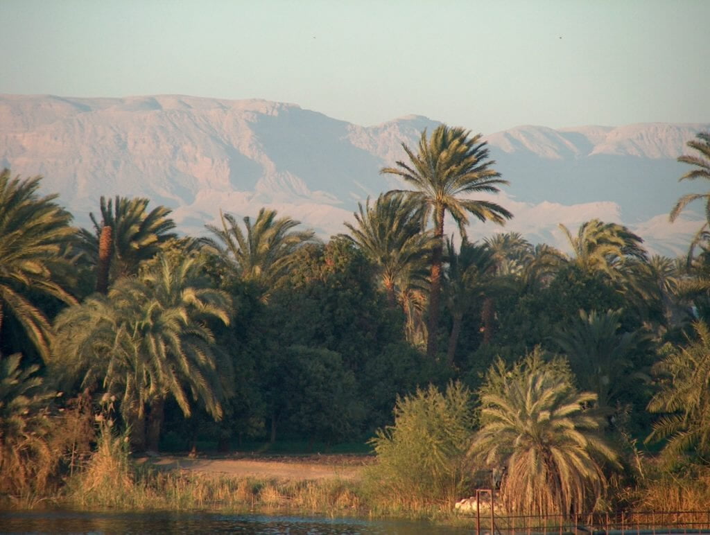 Nile and desert