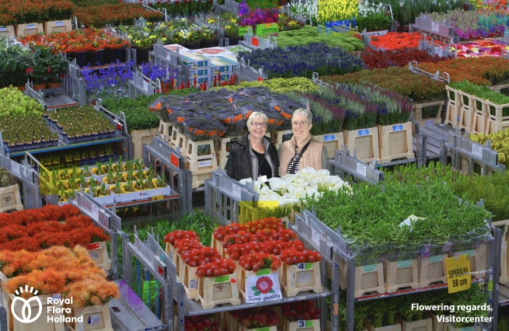 Aalsmeer Flower Auction